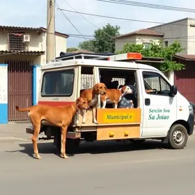 castramóvel